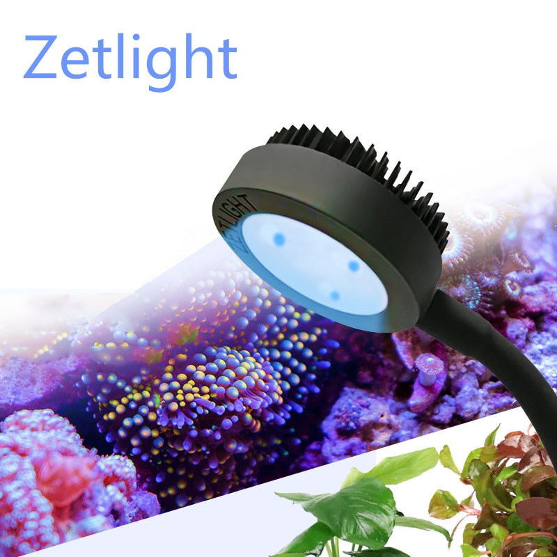 Zetlight-LED  ZN1010 1020 LED, ü Ʈ ..